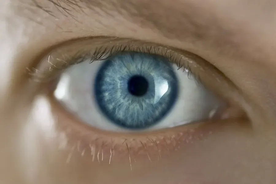 A close-up of a blue eye